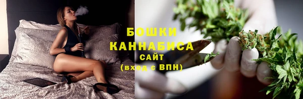 амф Магас