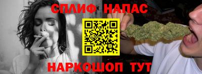 ECSTASY Гатчина