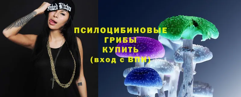 Псилоцибиновые грибы Magic Shrooms  Амурск 