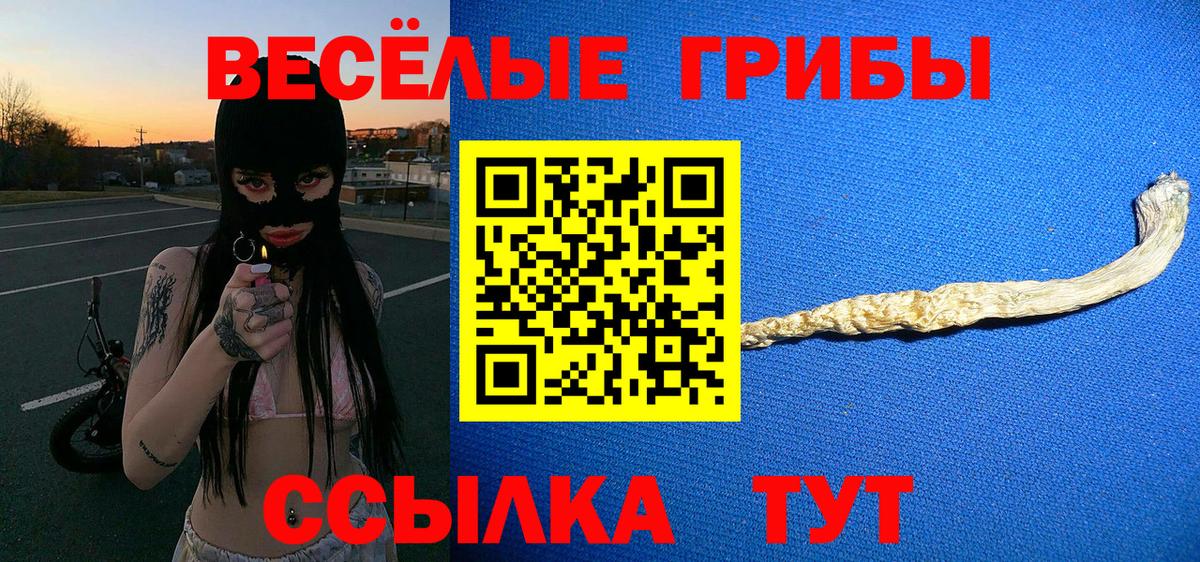 Галлюциногенные грибы Psilocybine cubensis  Вход с VPN  Амурск 